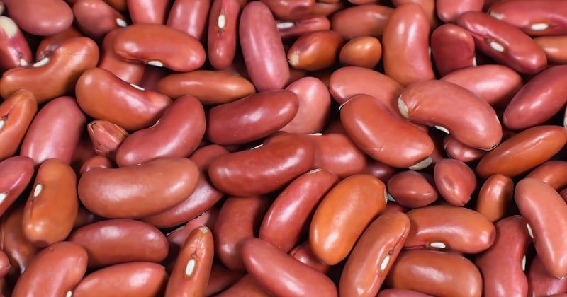 Burger végétarien aux haricots rouges : la recette maison qui régale