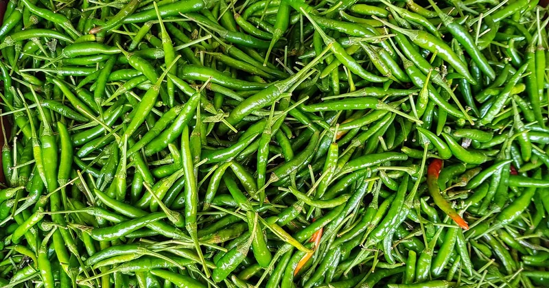 Le batch cooking : ce qui a réellement changé mes semaines