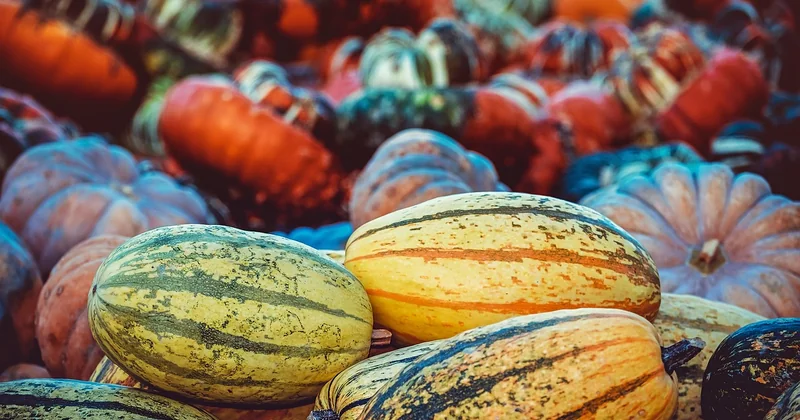 Quels légumes choisir selon la saison (et comment les préparer)