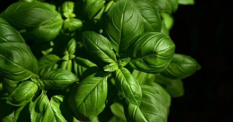 Riz sauté aux légumes : la recette rapide et savoureuse en 15 min