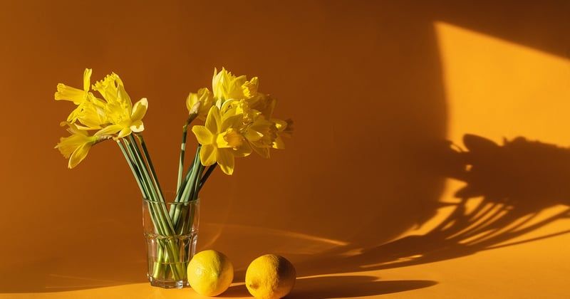 Houmous maison recette crémeuse pour apéro : le secret des chefs